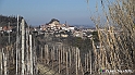 VBS_0691 - Madonna dei Boschi - Vezza d'Alba